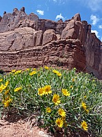 Arches NP Park Avenue (15).JPG